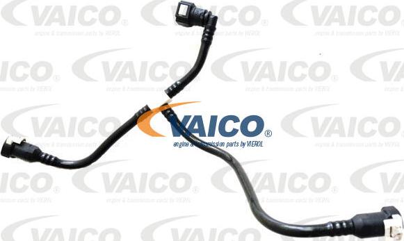 VAICO V42-0962 - Топливопровод autodif.ru