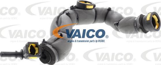 VAICO V42-0856 - Шланг, вентиляция картера autodif.ru