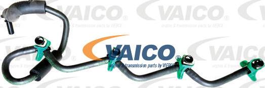VAICO V42-0865 - Шланг, распределение топлива autodif.ru