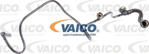 VAICO V42-0800 - Шланг, вентиляция картера autodif.ru