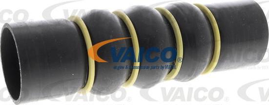 VAICO V42-0871 - Трубка, нагнетание воздуха autodif.ru