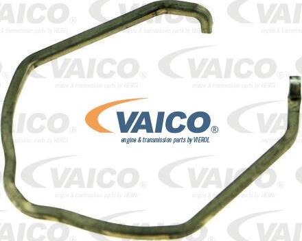 VAICO V10-4447 - Хомут, воздушный шланг компрессора autodif.ru
