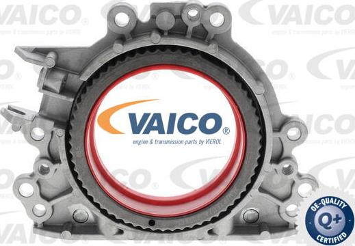 VAICO V10-4859 - Уплотняющее кольцо, коленчатый вал autodif.ru