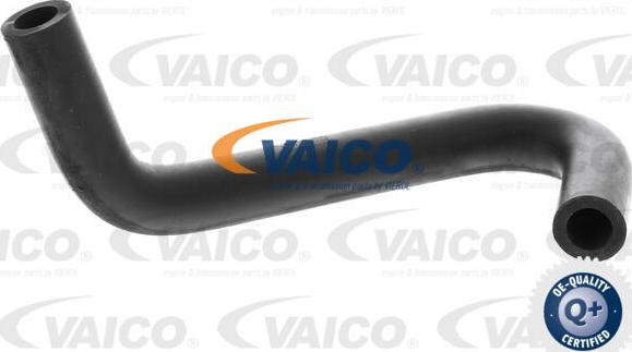VAICO V10-4850 - Шланг, вентиляция картера autodif.ru