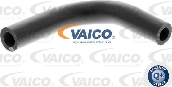 VAICO V10-4851 - Шланг, вентиляция картера autodif.ru