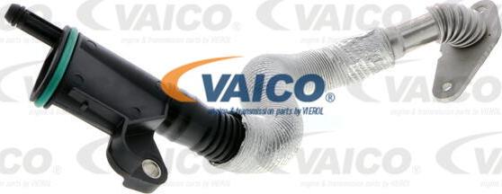 VAICO V10-4852 - Шланг, вентиляция картера autodif.ru