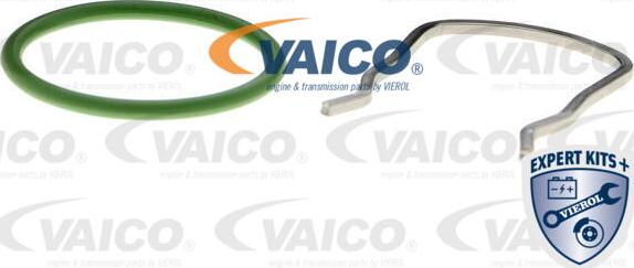 VAICO V10-4804 - Патрубок интеркулера autodif.ru