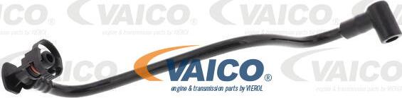 VAICO V10-6642 - Шланг, вентиляция картера autodif.ru