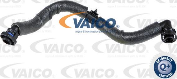 VAICO V10-1794 - Шланг, вентиляция картера autodif.ru