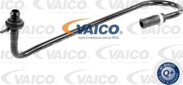 VAICO V10-3648 - Шланг разрежения, тормозная система autodif.ru