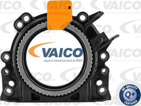 VAICO V10-3683 - Уплотняющее кольцо, коленчатый вал autodif.ru