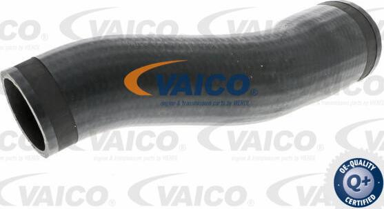 VAICO V10-3773 - Трубка, нагнетание воздуха autodif.ru