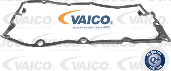 VAICO V10-2557 - Прокладка, крышка головки цилиндра autodif.ru