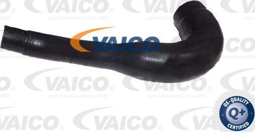 VAICO V30-4260 - Шланг радиатора autodif.ru