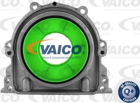 VAICO V30-6142 - Уплотняющее кольцо, коленчатый вал autodif.ru