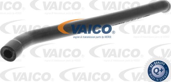 VAICO V30-0862 - Шланг, вентиляция картера autodif.ru