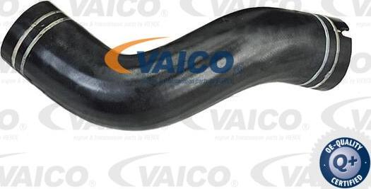VAICO V24-0695 - Трубка, нагнетание воздуха autodif.ru