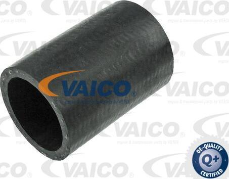 VAICO V25-1013 - Трубка, нагнетание воздуха autodif.ru