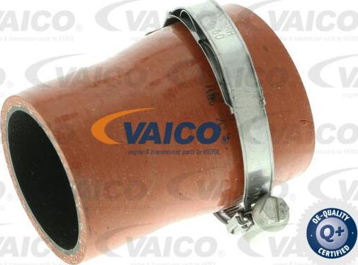 VAICO V25-1035 - Трубка, нагнетание воздуха autodif.ru