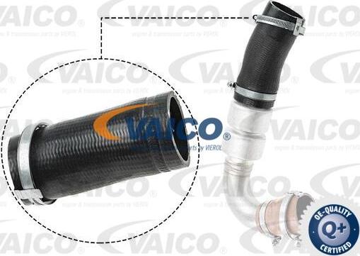 VAICO V25-1036 - Трубка, нагнетание воздуха autodif.ru