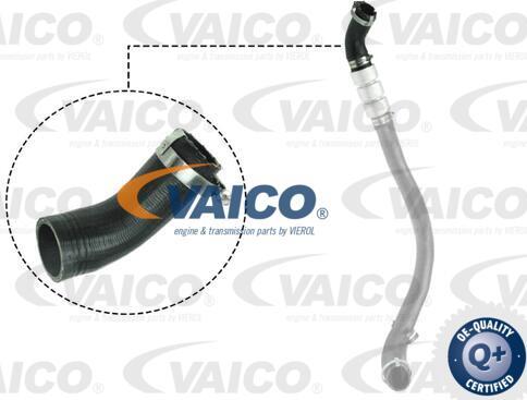 VAICO V25-1037 - Фланец охлаждающей жидкости autodif.ru