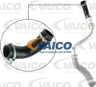 VAICO V25-1023 - Трубка, нагнетание воздуха autodif.ru