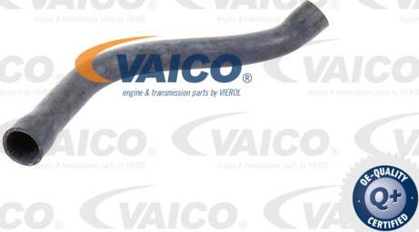 VAICO V20-0143 - Шланг радиатора autodif.ru
