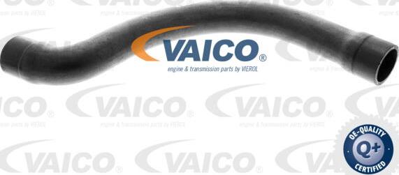 VAICO V20-1252 - Шланг радиатора autodif.ru