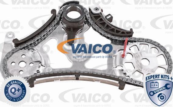 VAICO V20-3918 - Комплект цепи, привод масляного насоса autodif.ru