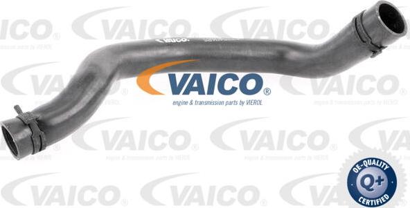 VAICO V20-3244 - Шланг радиатора autodif.ru