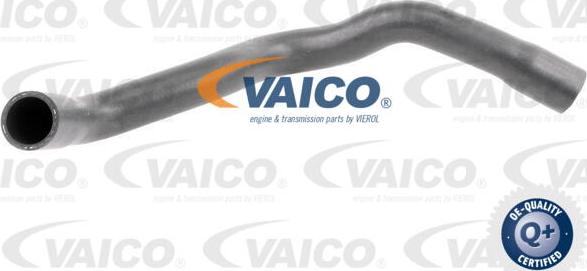VAICO V20-3246 - Шланг радиатора autodif.ru