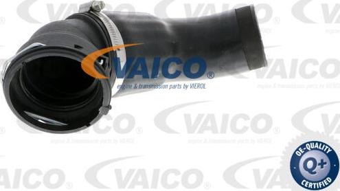 VAICO V20-2969 - Трубка, нагнетание воздуха autodif.ru