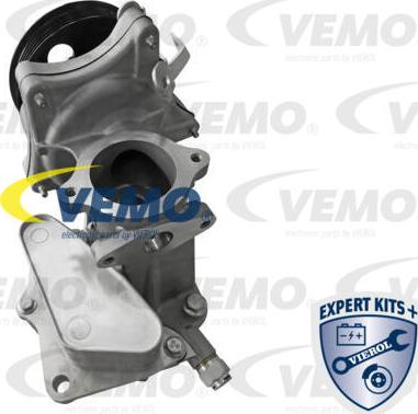 Vemo V40-60-2129 - Масляный радиатор, двигательное масло autodif.ru