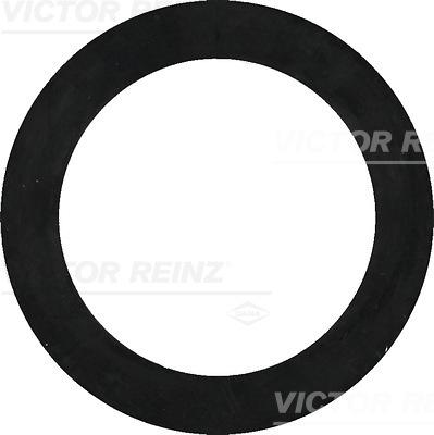Victor Reinz 40-77322-00 - Уплотнительное кольцо autodif.ru