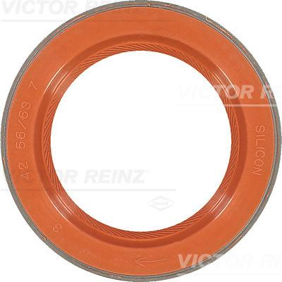 Victor Reinz 81-35876-00 - Уплотняющее кольцо, коленчатый вал autodif.ru