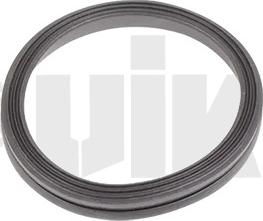 Vika 11031825701 - Прокладка, крышка картера рулевого механизма autodif.ru