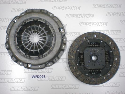 Westlake WFD025 - Комплект сцепления autodif.ru
