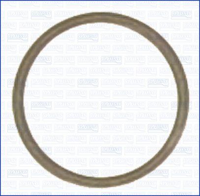 Wilmink Group WG1452011 - Уплотнительное кольцо, резьбовая пробка маслосливного отверстия autodif.ru