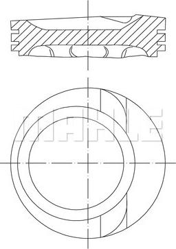 Wilmink Group WG1212156 - Поршень autodif.ru