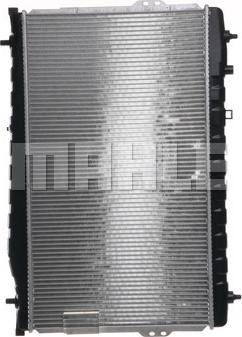 Wilmink Group WG2182501 - Радиатор, охлаждение двигателя autodif.ru